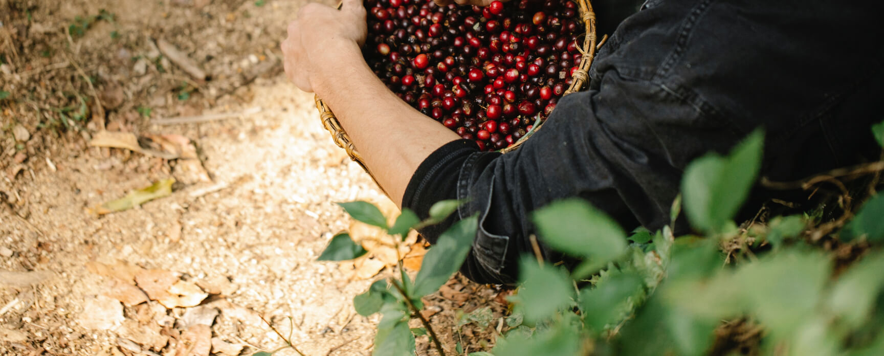 responsibility-bnr-img