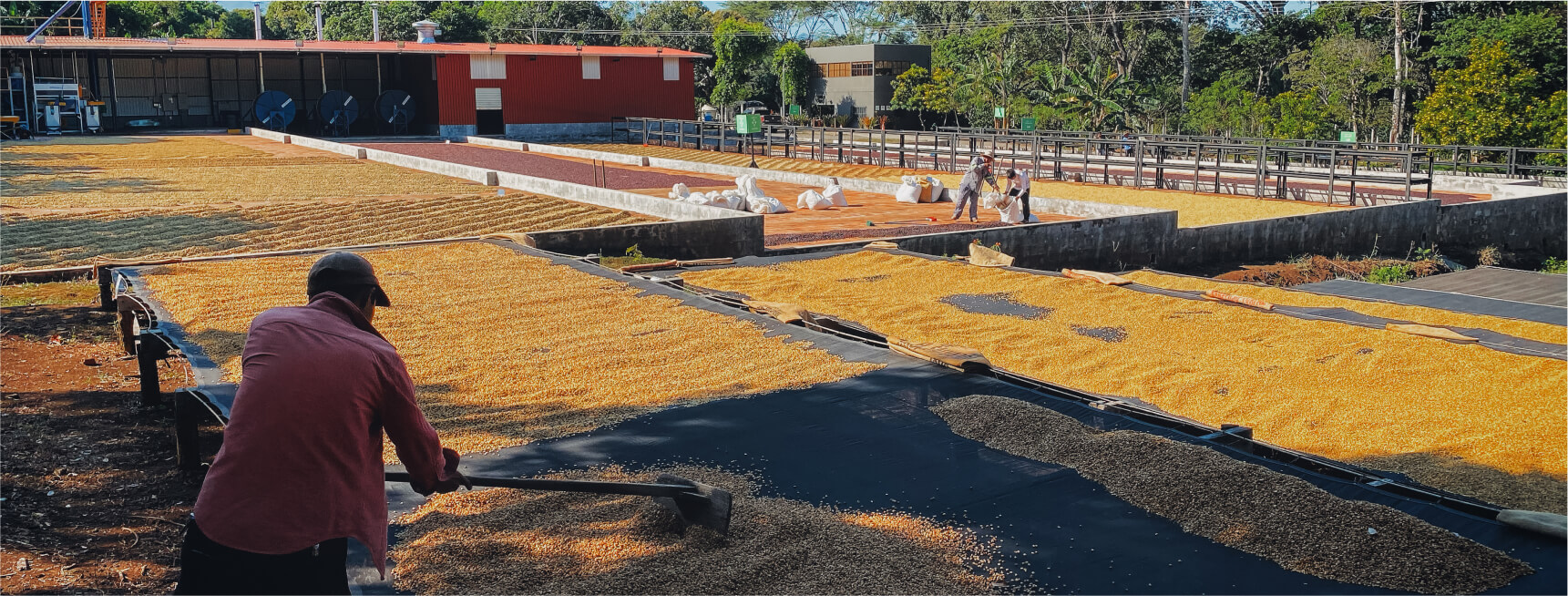 Zentralamerika-bnr-img