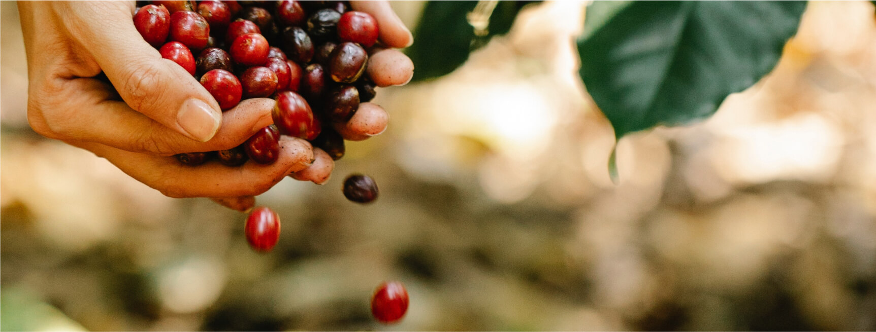 Zentralamerika-bnr-img