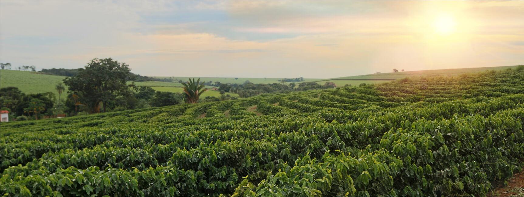 Zentralamerika-bnr-img